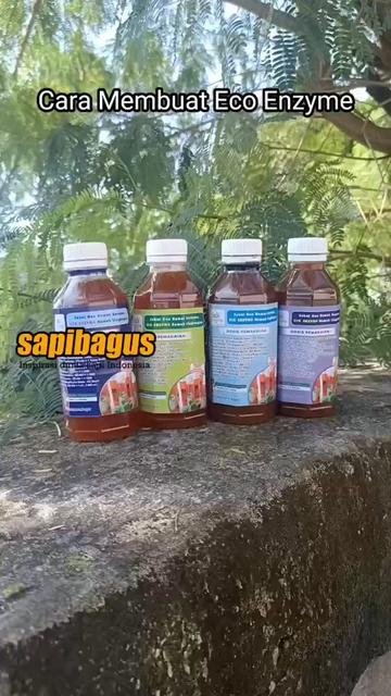 Cara-Membuat-Eco-Enzyme